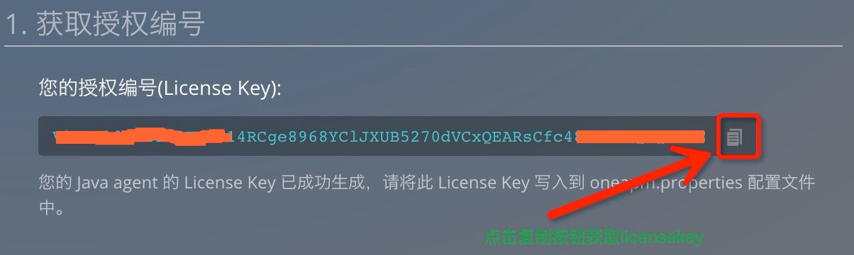License keyget01